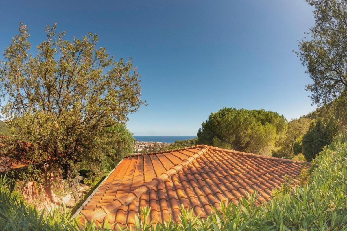 Villino Garden & Pool Otel Marina dʼMarina dʼAndora Dış mekan fotoğraf